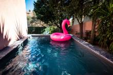 south of france photographer